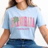baby blue shirt