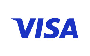 visa icon